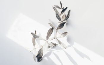 Wallpaper A Group of Metal Leaves on White