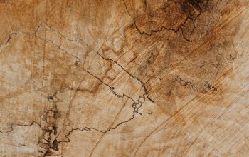 Wallpaper Brown and Black Wooden Surface