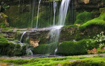 Wallpaper Waterfalls in a Lush Green Field