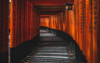 Wallpaper Orange and Black Wooden Posts