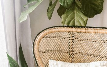 Wallpaper Green Plant in Brown Woven Basket