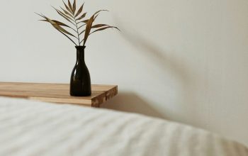 Wallpaper Brown and Green Plant on Brown Wooden Table