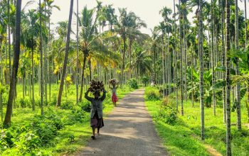 Wallpaper Woman in Black Jacket Walking on Gray Asphalt Road Between Green Palm Trees