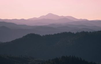Wallpaper Green Trees on Mountain During Daytime