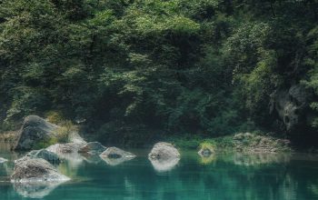 Wallpaper A Body of Water Surrounded by Lush Green Trees
