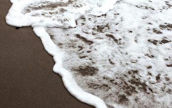 Wallpaper White and Brown Sea Waves
