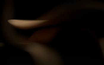 Wallpaper Person’s Left Index Finger