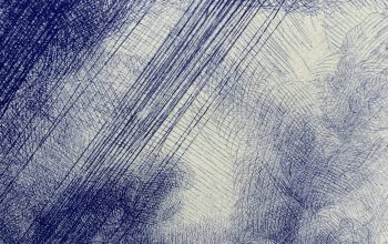 Wallpaper Blue and White Floral Textile