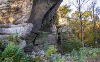 Wallpaper Green Plants Near Brown Rock Formation During Daytime