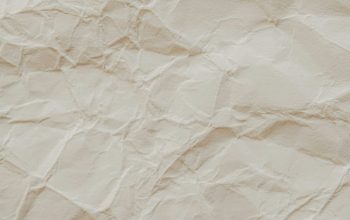 Wallpaper White and Gray Floral Textile
