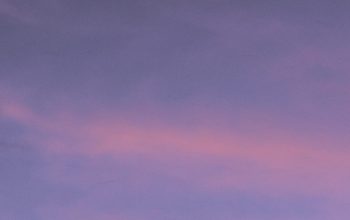 Wallpaper Silhouette of Trees Under Cloudy Sky