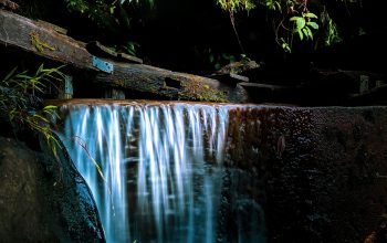 Wallpaper Brown Tree Log on Waterfalls