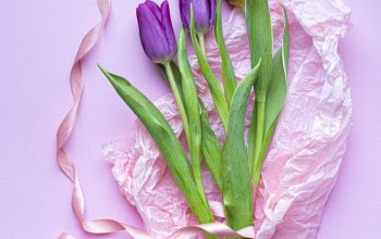 Wallpaper Pink Tulips on Pink Surface