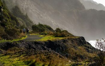 Wallpaper People Walking on a Foggy Green Field