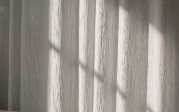 Wallpaper White and Brown Window Curtain