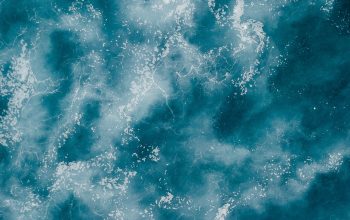 Wallpaper White and Blue Abstract Painting