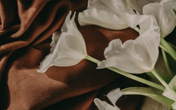 Wallpaper White Flowers on Brown Textile