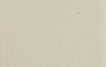 Wallpaper White Wall Paint with Black Shadow