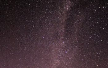Wallpaper Silhouette of Trees Under Starry Night