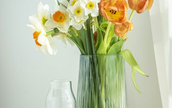 Wallpaper Orange and Yellow Flowers in Clear Glass Vase