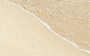 Wallpaper Brown Sand with White Sand