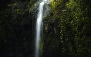 Wallpaper Waterfalls in the Middle of the Forest