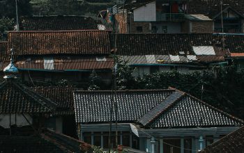 Wallpaper A View of City Rooftops and Trees