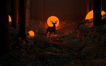 Wallpaper A Deer in the Night Forest