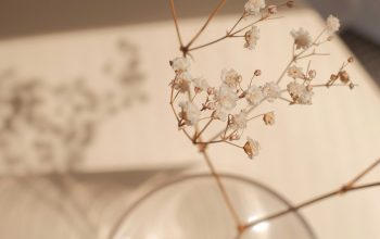 Wallpaper A Glass Vase with Some White Flowers