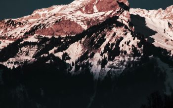 Wallpaper A Snowy Mountain with Trees