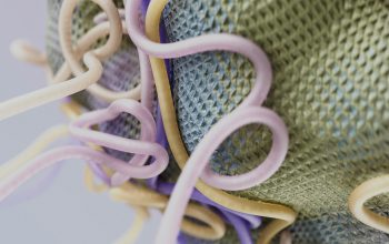 Wallpaper A Close Up of a Green and Purple Shoe