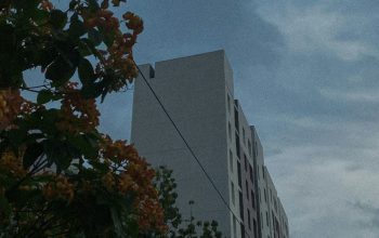 Wallpaper A Tall White Building Beside a Lush Green Forest