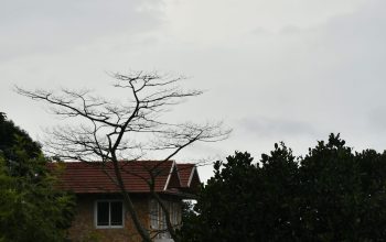 Wallpaper A House Surrounded by Trees