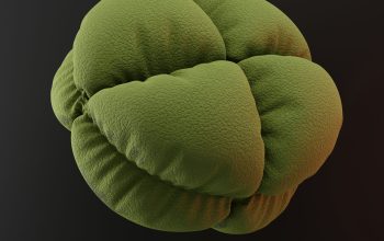 Wallpaper A Group of Green Balls