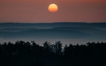 Wallpaper A Sunset Over a Forest