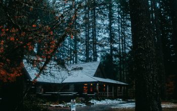Wallpaper A House Amongst Trees