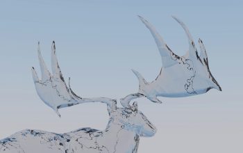 Wallpaper A Snow Covered Mountain