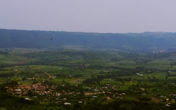 Wallpaper A Landscape with Trees and Hills