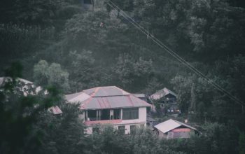 Wallpaper Aerial View of House Surrounded by Trees