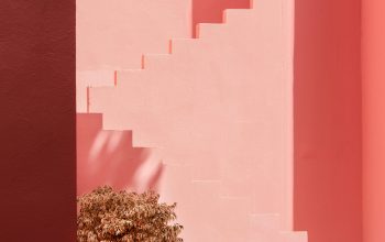 Wallpaper A Pink Building with a Potted Plant