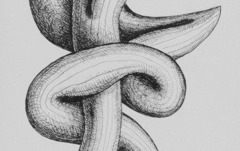 Wallpaper A Black and White Snake Drawing