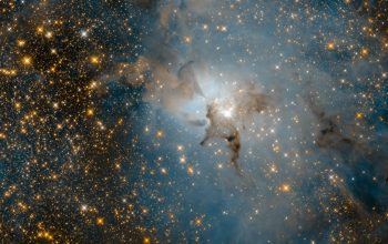 Wallpaper A Very Large Cluster of Stars in the Sky