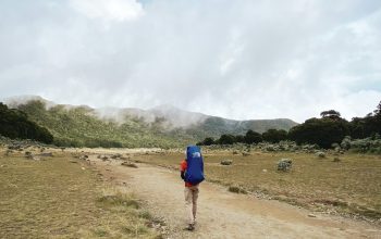 Wallpaper A Person Walking Down a Dirt Road in the Middle of a Field