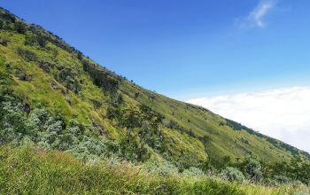 Wallpaper A Grassy Hill with a Blue Sky