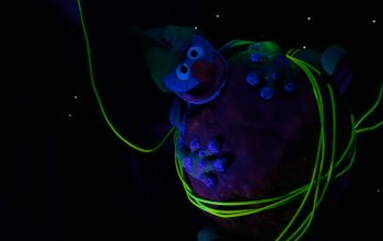 Wallpaper A Man in a Dark Room Holding a Neon String