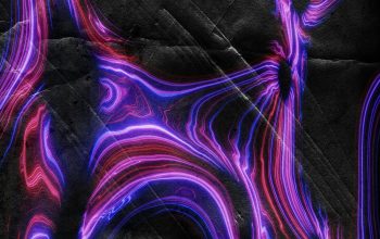 Wallpaper Purple and Red Neon Lines on a Textured Black Surface