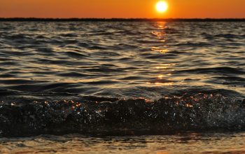 Wallpaper Body of Water Wave Photo During Golden Hour