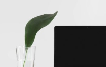 Wallpaper MacBook Pro Beside Plant in Vase