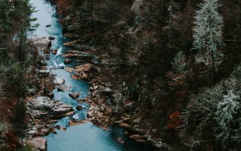 Wallpaper Aerial Photography of Body of Water with Trees