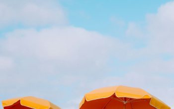 Wallpaper Closeup Lounger Chairs and Beach Umbrellas
